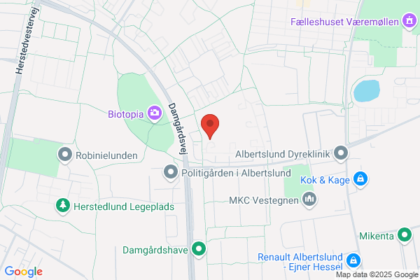 Seniorfrisøren
