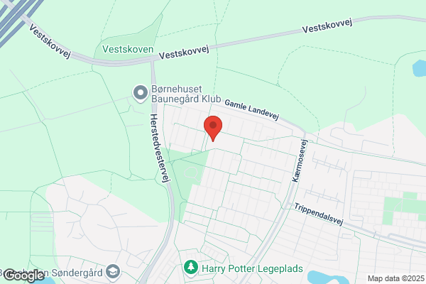 Bakkens Hjerte