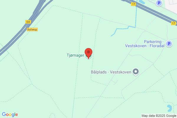 Bjergager