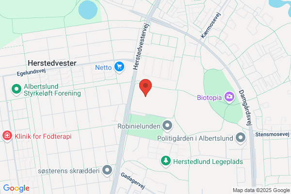 Holsbjergskolen