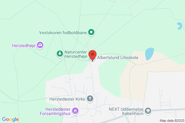 Birkelundskolen