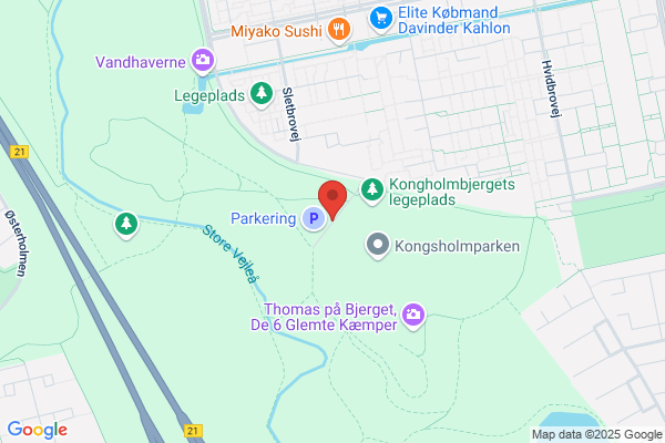 Albertslund Kommune