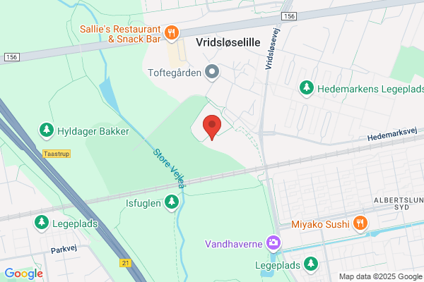 Grønhøjskolen Skolevejleder