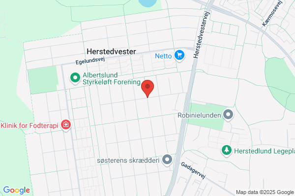 Det Radikale Venstre i Albertslund