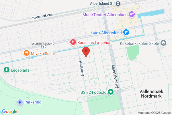 Flinke Vinduespudser Den