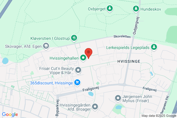 Skovvangskolen