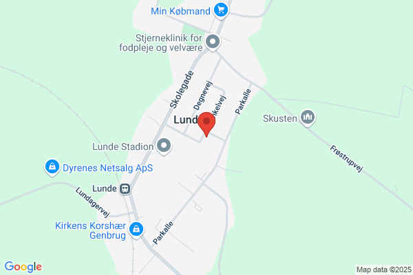 Polish/Danish Consulting