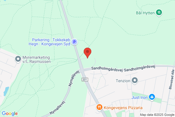 Kongevejsskolen