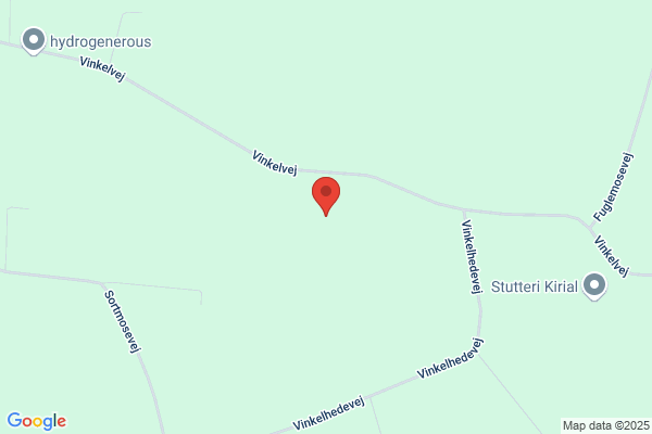 Haaning, Gert