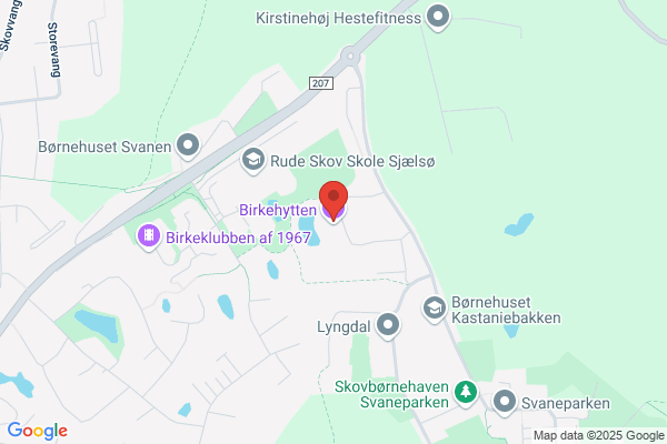 DDS Birkegruppen
