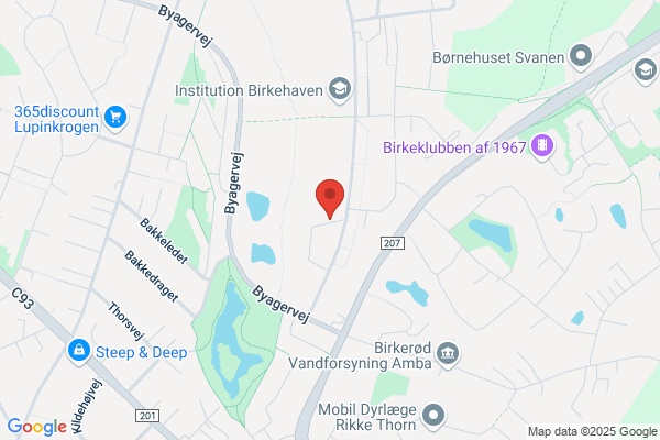 Birkerød Netværksforening BNF (Niels S. Larsen)