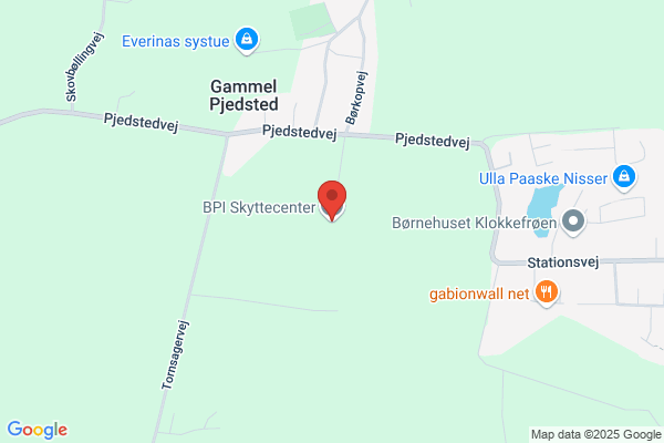 BIF Pistolskytter