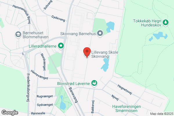 Skovvangskolen
