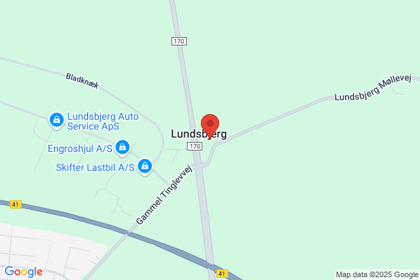 Lundsbjerg Kræmmer- og Auktionshaller
