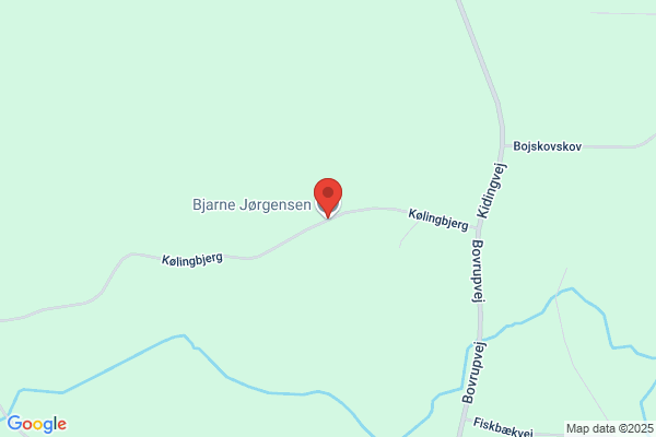 Jørgensen Bjarne Management