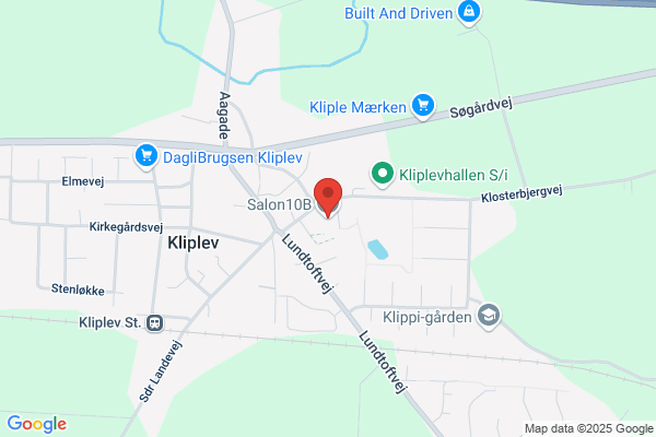 Salonen