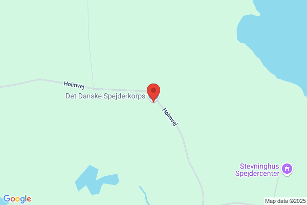 Det Danske Spejderkorps