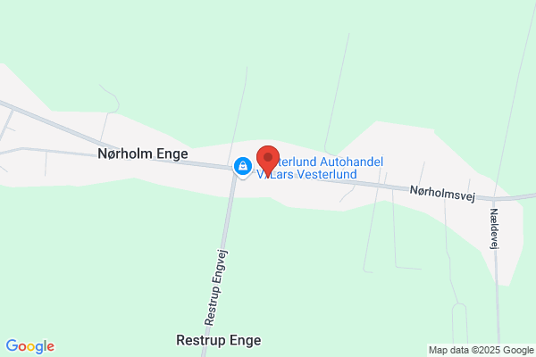 Restrup Enges Folkedansere
