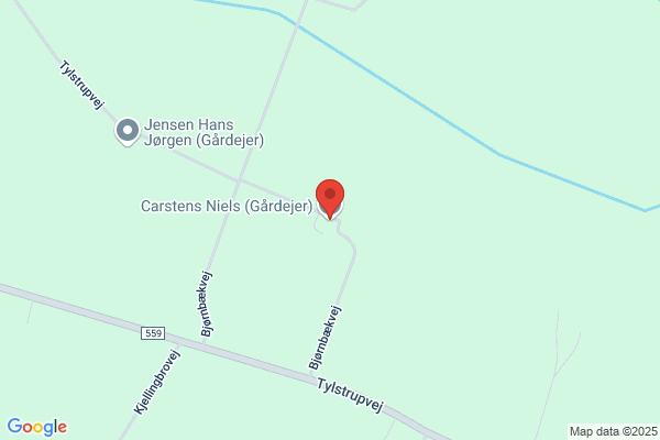 Carstens, Niels Peter B.