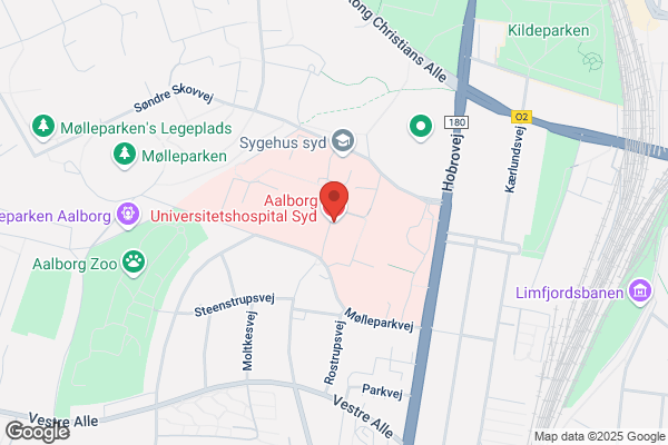 Hospitalsundervisningen