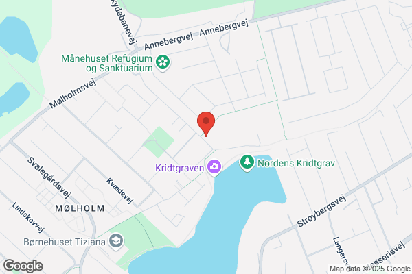 Rugbyklubben Lynet