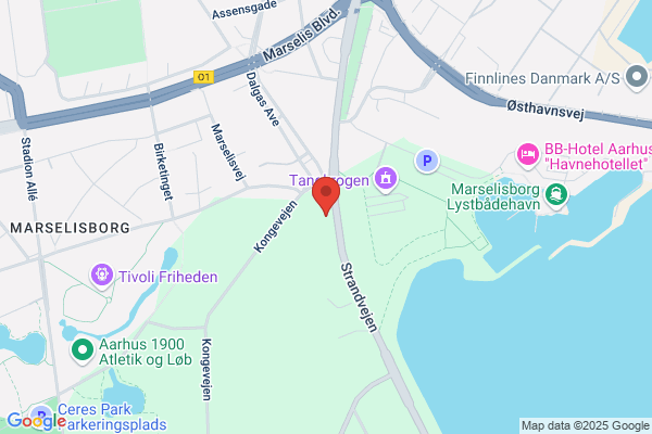 Finske Konsulat, Det