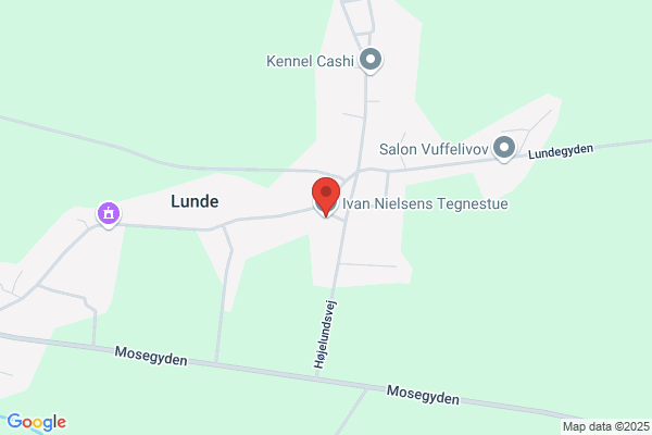 Nielsens Tegnestue, Birk