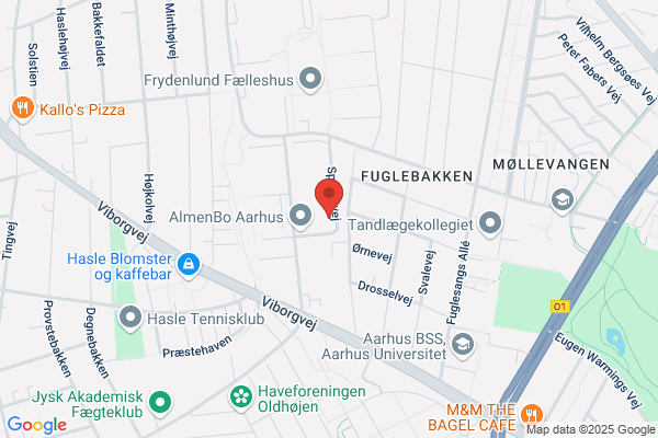 Foreningen Junibevægelsen, Århus Amt