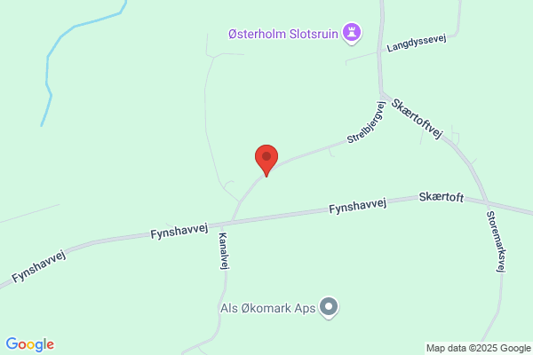 Hansen A. M. W Zoneterapeut