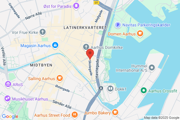 Den Høje