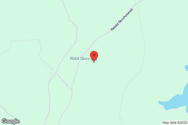 Roldskov, Peter