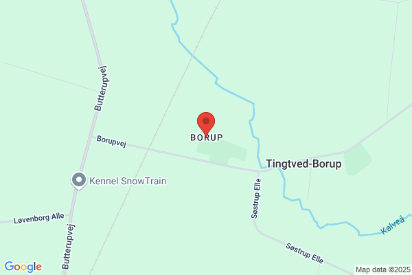 Borup Tømrer