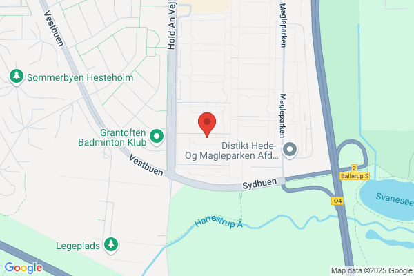 Kinesiske Forening i Odense, Den