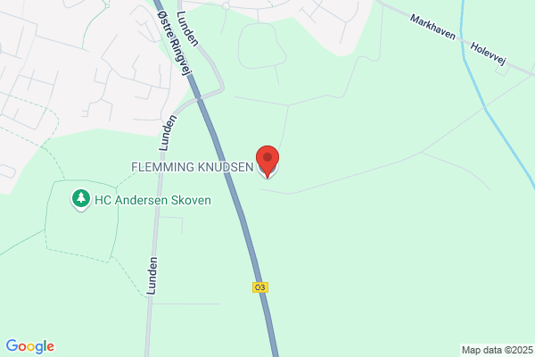 Knudsen, Flemming