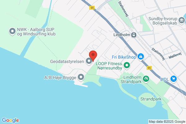 Det Radikale Venstre i Helle