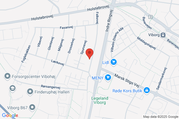 Hald Ege VVS