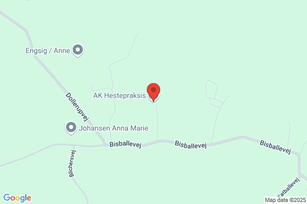 Hald Ege Hestepraksis
