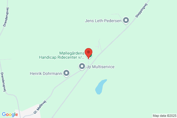 Tingskovgård, Handicap Rideskole