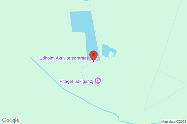 Udholm, Steen