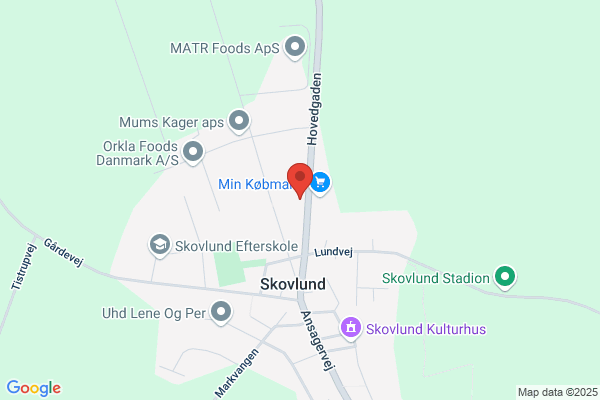 Skovlund Autoværksted