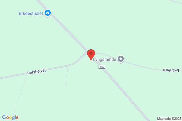 Rasmussen, Aage B.