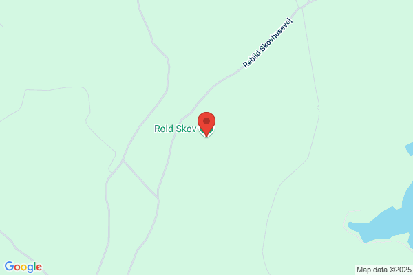 Rold Skov Savværk, Aktieselskabet