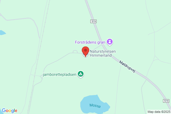 Skov- og Naturstyrelsen