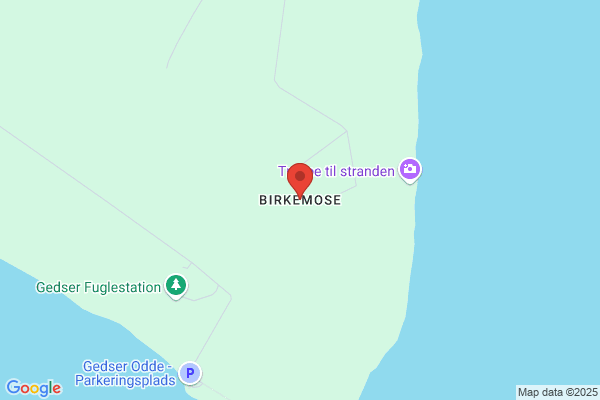 Birkemose