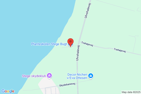 Bøgegården Tørrede Blomster
