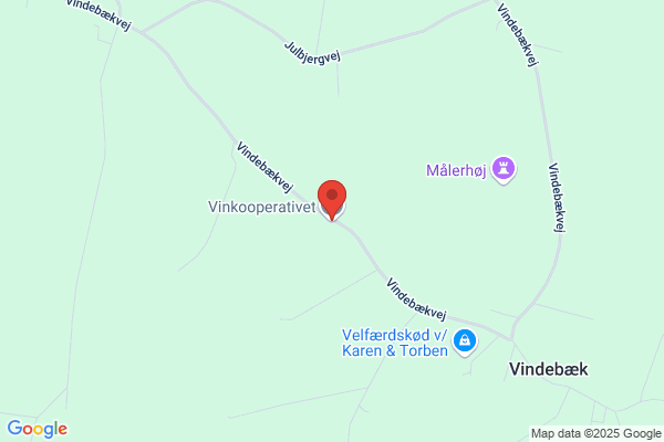 Vinhuset