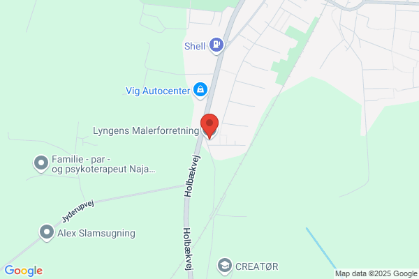 Lyngens Malerforretning