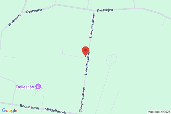 Båring VVS