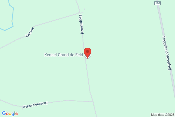 Kennel Grandly