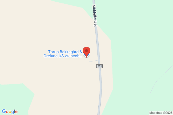JBJ Forstplanteskole